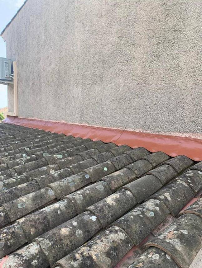 moisissure toiture
